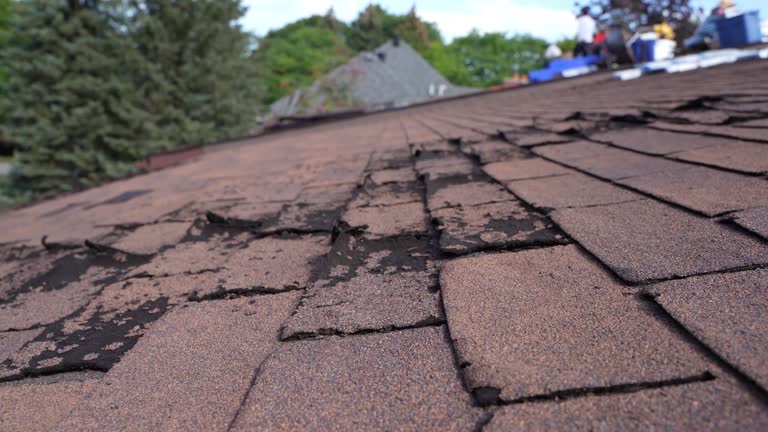 Best Rubber Roofing (EPDM, TPO)  in Hammond, WI
