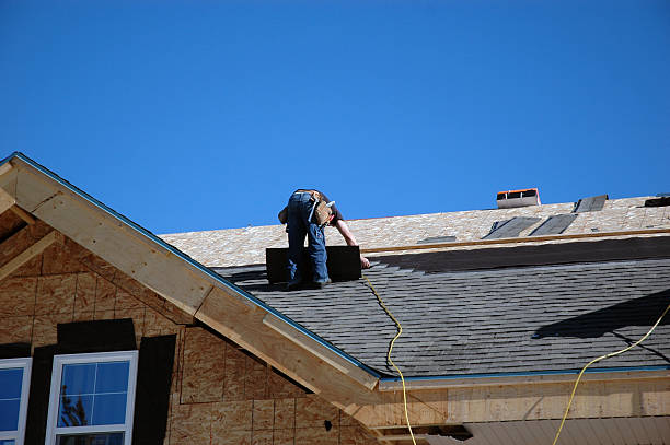 Best Roof Moss and Algae Removal  in Hammond, WI