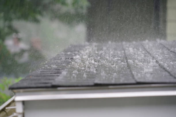 Best Storm Damage Roof Repair  in Hammond, WI