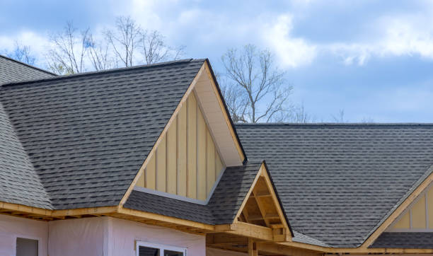 Best Roof Insulation Installation  in Hammond, WI