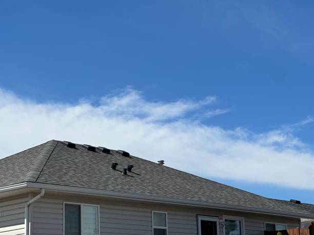 Best Emergency Roof Repair Services  in Hammond, WI