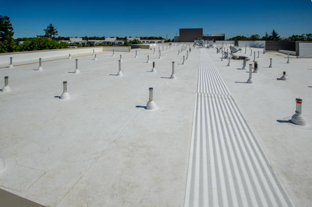 Best Roof Leak Repair  in Hammond, WI